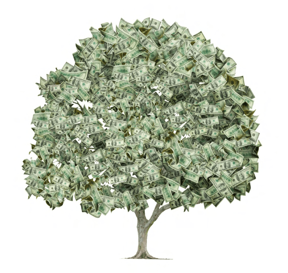 moneytree_page1_image1